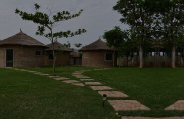 almat_banner_001_h2