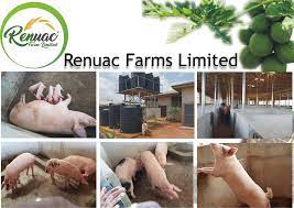 renuac